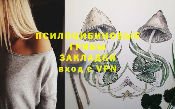 меф Арсеньев