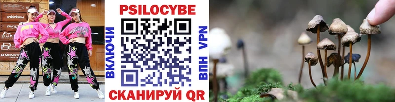 Псилоцибиновые грибы ЛСД  Кологрив 